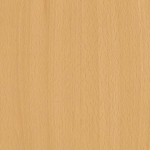 Ellmau Beech H1582