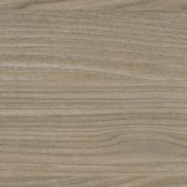 Elm OL