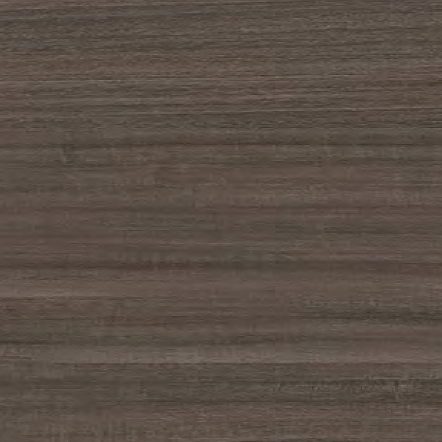 Eucalyptus EC