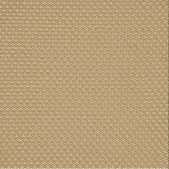 Malt 5 T25