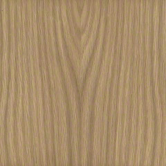 Oak Light OB EMEA 1000