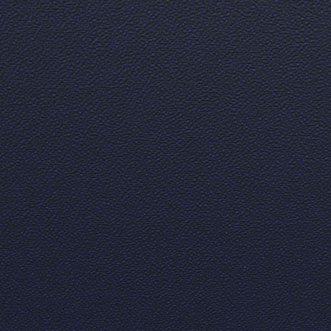 Ocean YP100