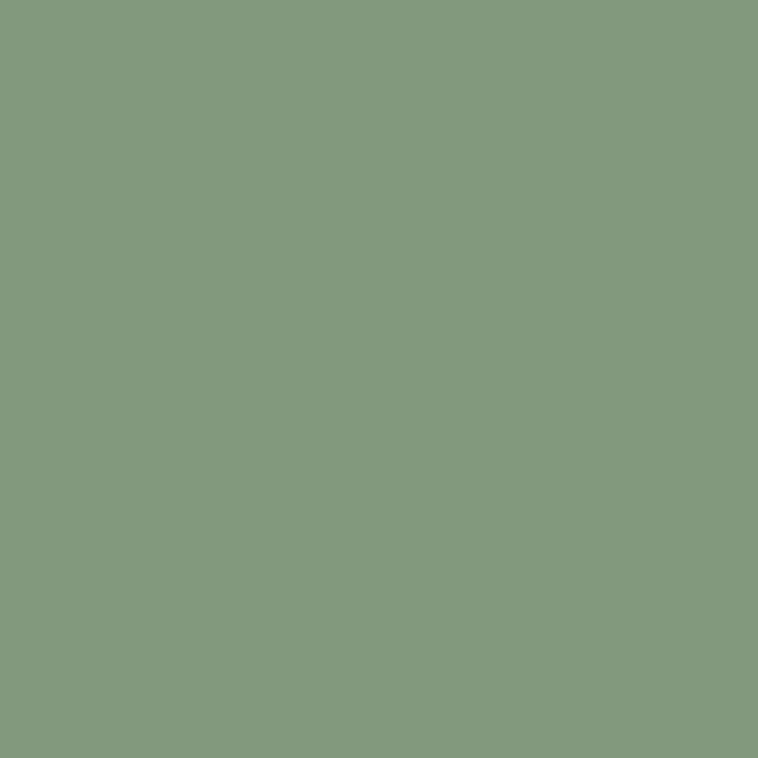 Pale Green RAL 6021 Finishes