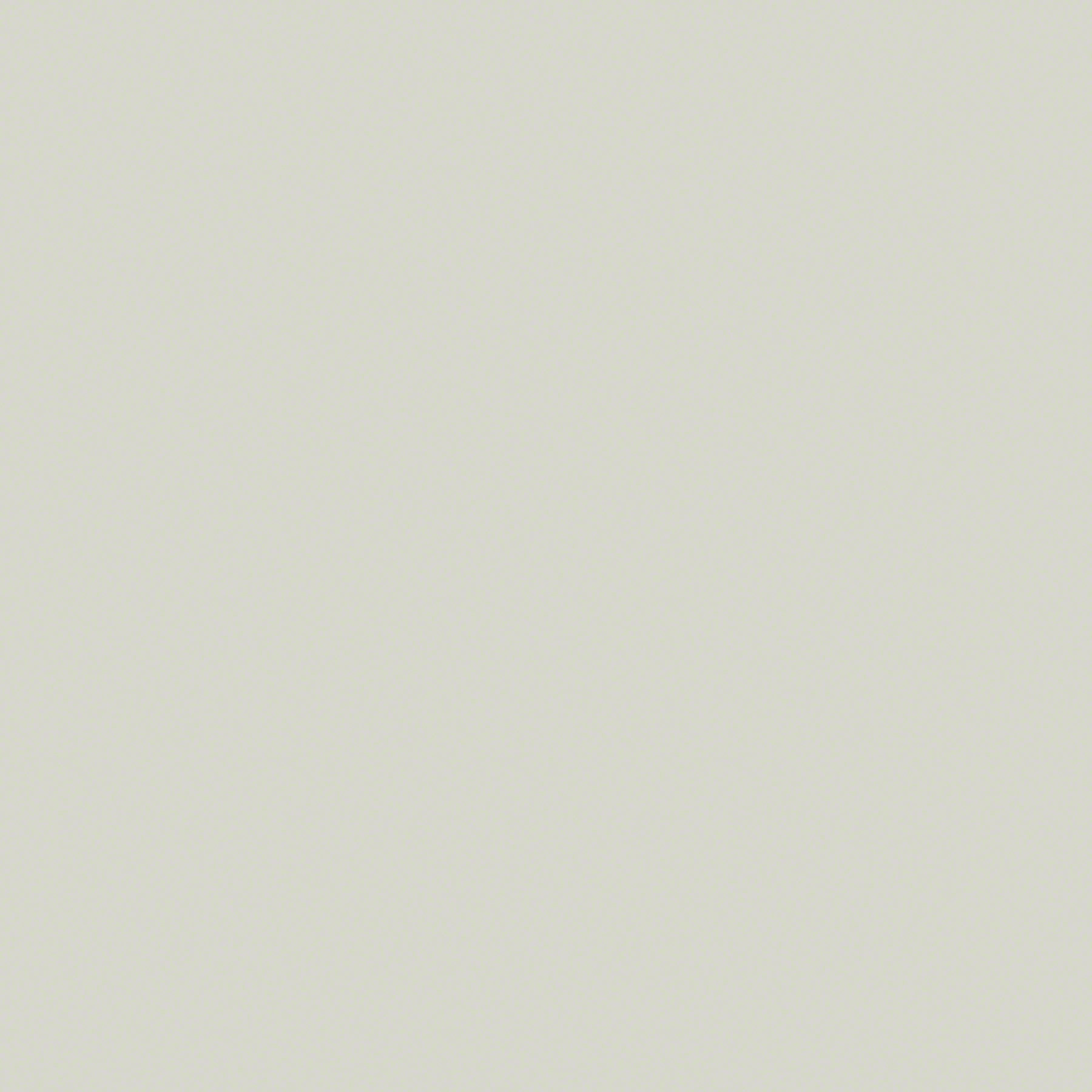 Pearl Grey 0 ZN EMEA 1000