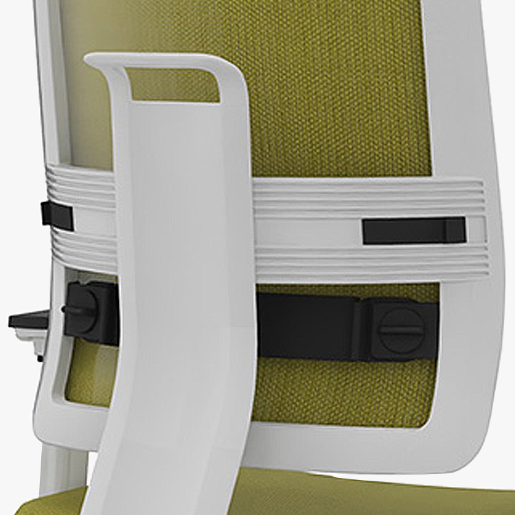 Toleo Mesh Lumbar Support Product Images
