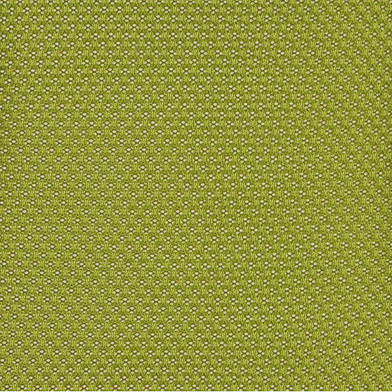 Wasabi 5 T26